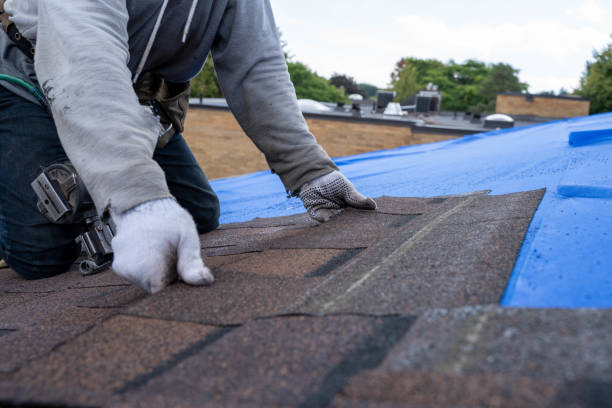 Best Storm Damage Roof Repair  in Summerside, OH